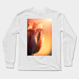 Sun Rays Flower Long Sleeve T-Shirt